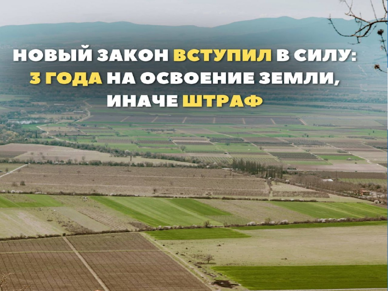 С марта прошлого года закон требует не только оформить право собственности, но и начать реальное использование земли..